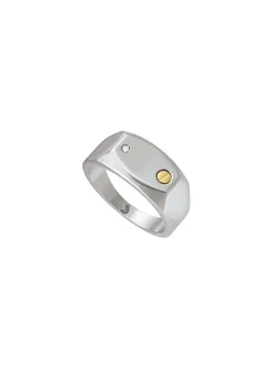 Bague chevalière homme Jourdan Lord acier