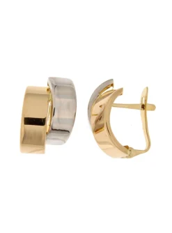 Boucles d'oreilles Brillaxis entrelacées bicolore