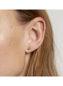 Boucles d'oreilles puces PD Paoloa ZODIAC - Cancer