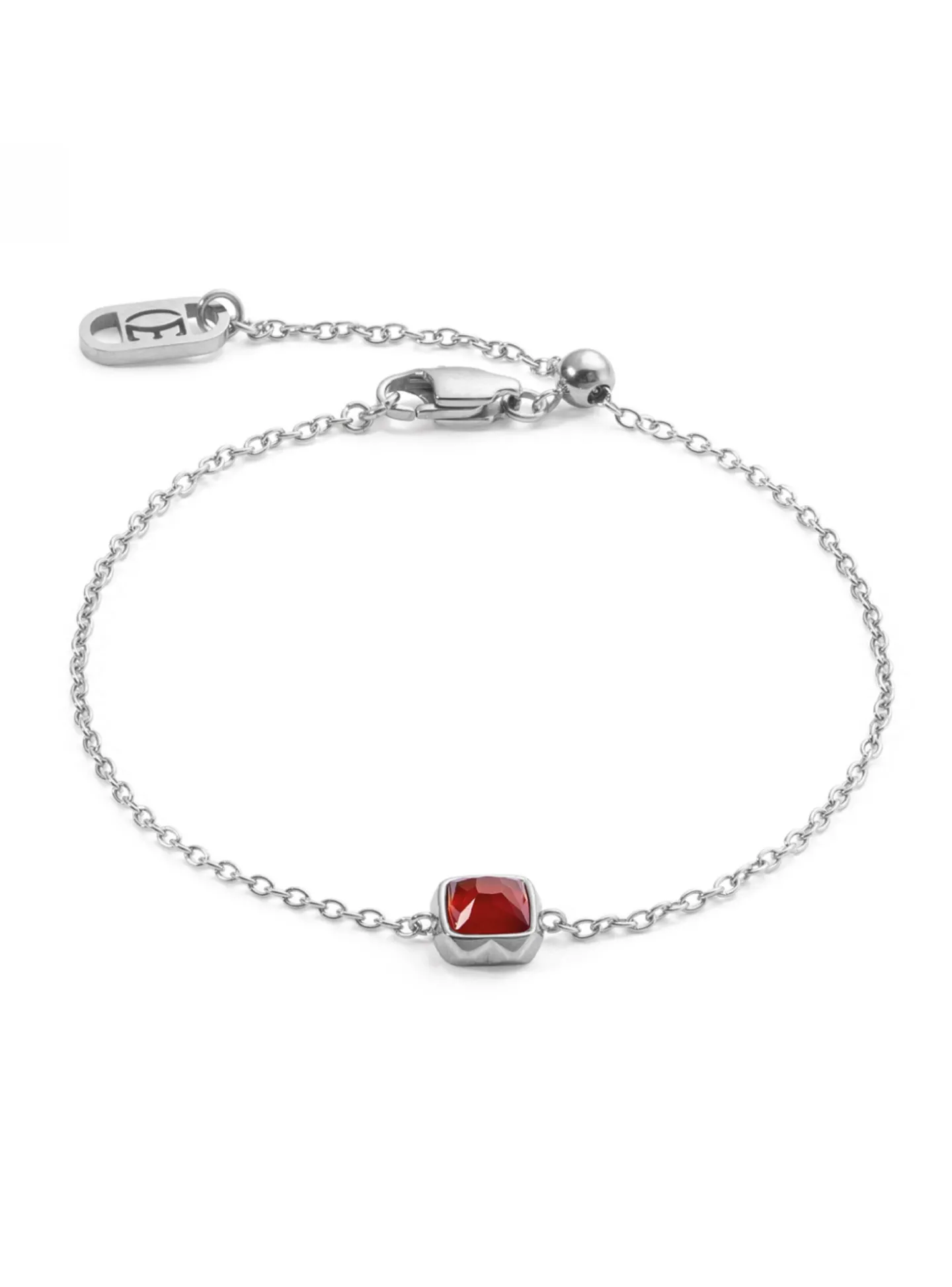 Bracelet Coeur de Lion Birthstone acier_x005f_x000D_Janvier agate rouge