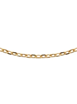 Chaine Brillaxis plaqué or maille forçat 2.6 mm