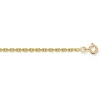 Chaîne or jaune 375/1000 maille forçat 2.1mm