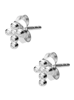 Clous d'oreilles Fossil Crosses