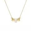 Collier Fossil Georgia Vintage Heritage