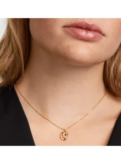 Collier PDPaola Taureau plaqué or_x005f_x000D_Collection ZODIAC