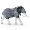 Figurine Swarovski Elegance of Africa Éléphant