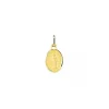 Médaille Brillaxis Vierge Miraculeuse or jaune 9K_x005f_x000D_10mm x 12.5mm