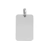 Pendentif Brillaxis plaque or blanc 9 carats