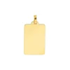 Plaque Brillaxis or jaune 18 carats